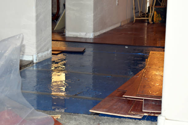 Professional Water Damage Restoration technician working in Perry, ME